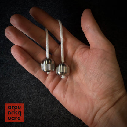 Titans Begleri - Titanium Editions